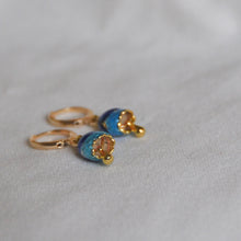 Load image into Gallery viewer, Fish Earrings