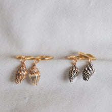 Load image into Gallery viewer, Shell Hoops