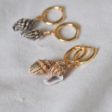 Load image into Gallery viewer, Shell Hoops