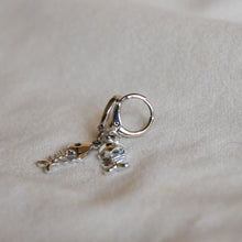 Load image into Gallery viewer, Dead Fish Earrings