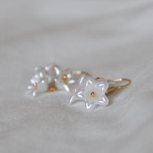 Load image into Gallery viewer, Bunch of Flowers Earrings