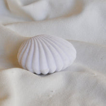 Load image into Gallery viewer, Velvet Shell Box