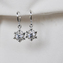 Load image into Gallery viewer, Snow Earrings
